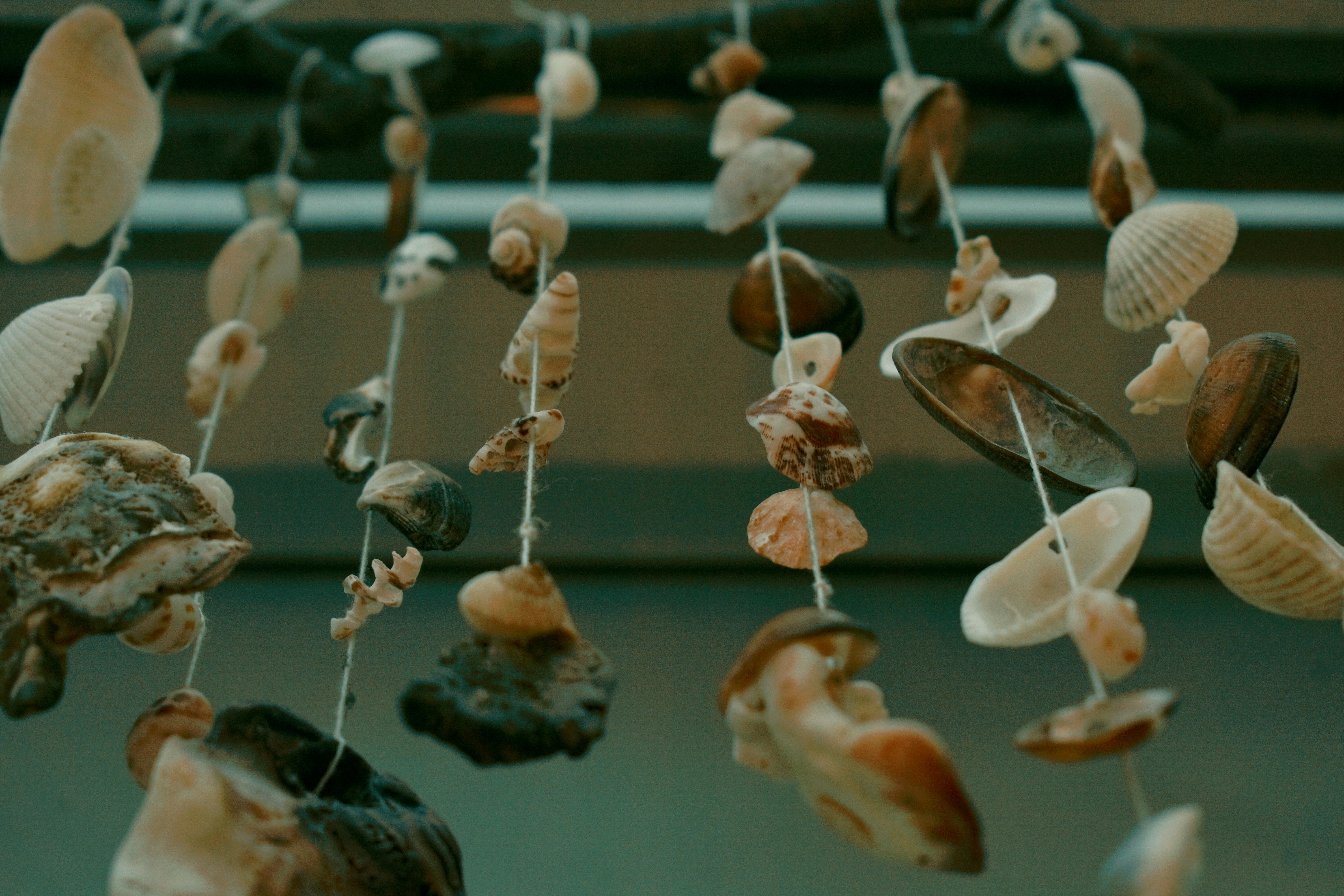 Seashell hanging decoration hi-res stock photography and images