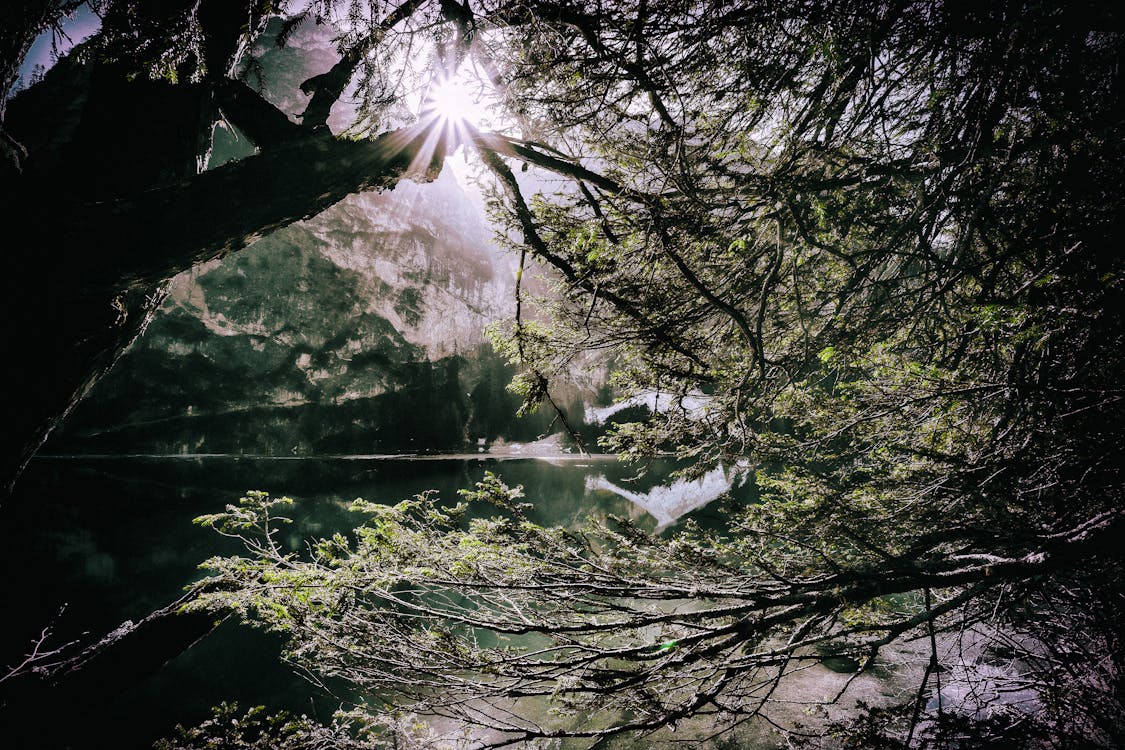 Základová fotografie zdarma na téma barva, cestování, denní světlo