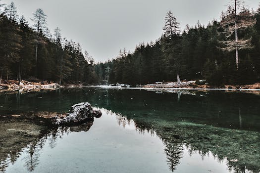 在宁静的日光下，拍摄了宁静的森林湖与树木和岩石的倒影