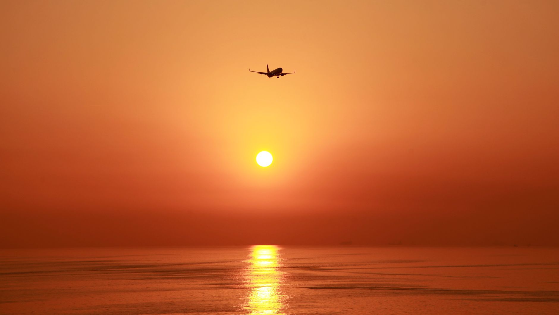 New Horizon Aircraft Files Annual Disclosure: What Investors Should Know