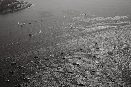 Grayscale Photo of Sailboats on Sea