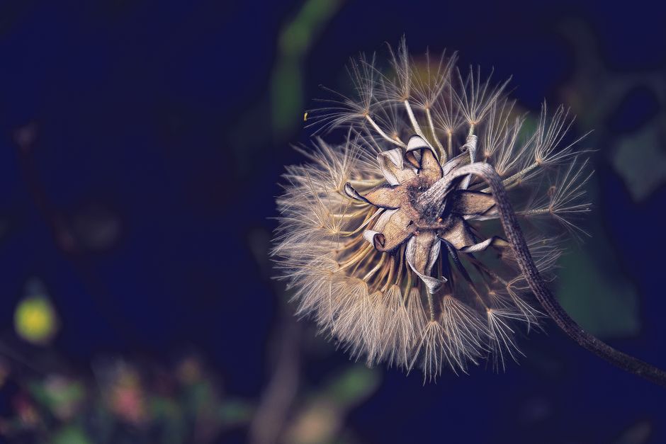 Understanding Draftophobia: The Psychological Fear of Air Currents