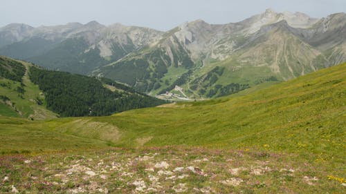 A Green Grass Field and Mountains Under the Clear Sky