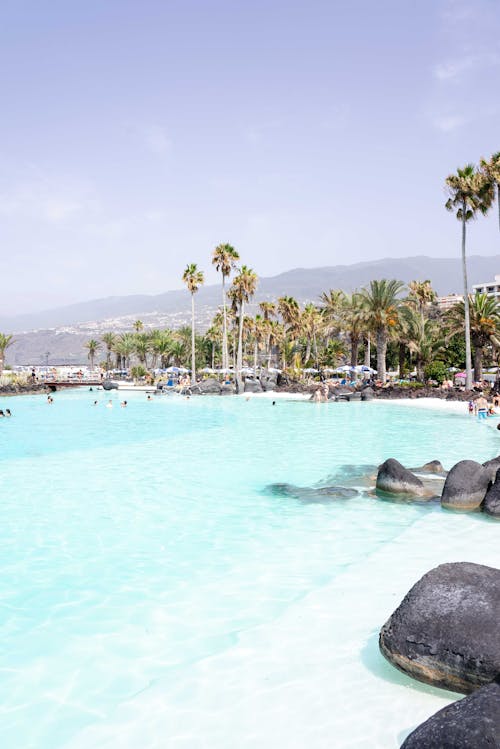 People in a Beach Resort Swimming on a Pool 