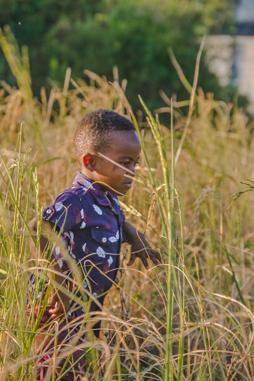 Ücretsiz afrikalı-amerikalı çocuk, alan, baskılı gömlek içeren Ücretsiz stok fotoğraf Stok Fotoğraflar