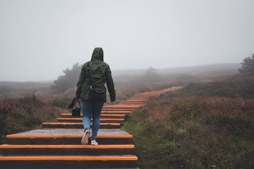 Ilmainen kuvapankkikuva tunnisteilla kävely, patikointi, polku