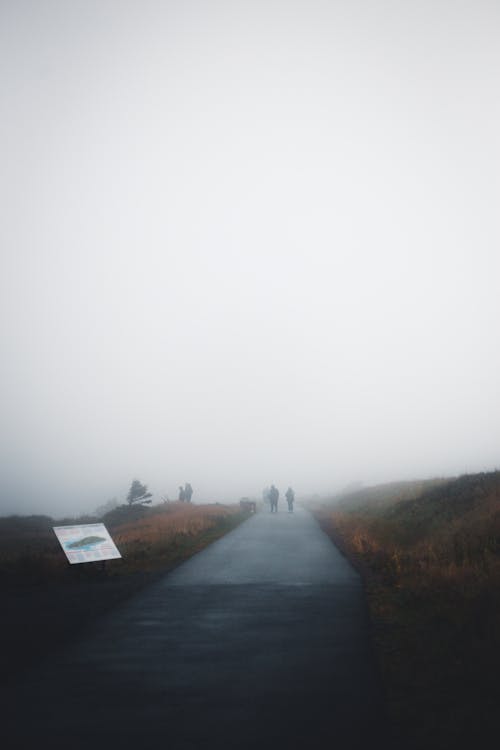 Immagine gratuita di camminando, nebbioso, persone