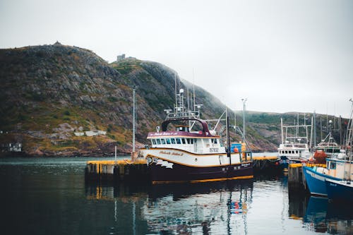 Kostenloses Stock Foto zu boote, hafen, schiffe