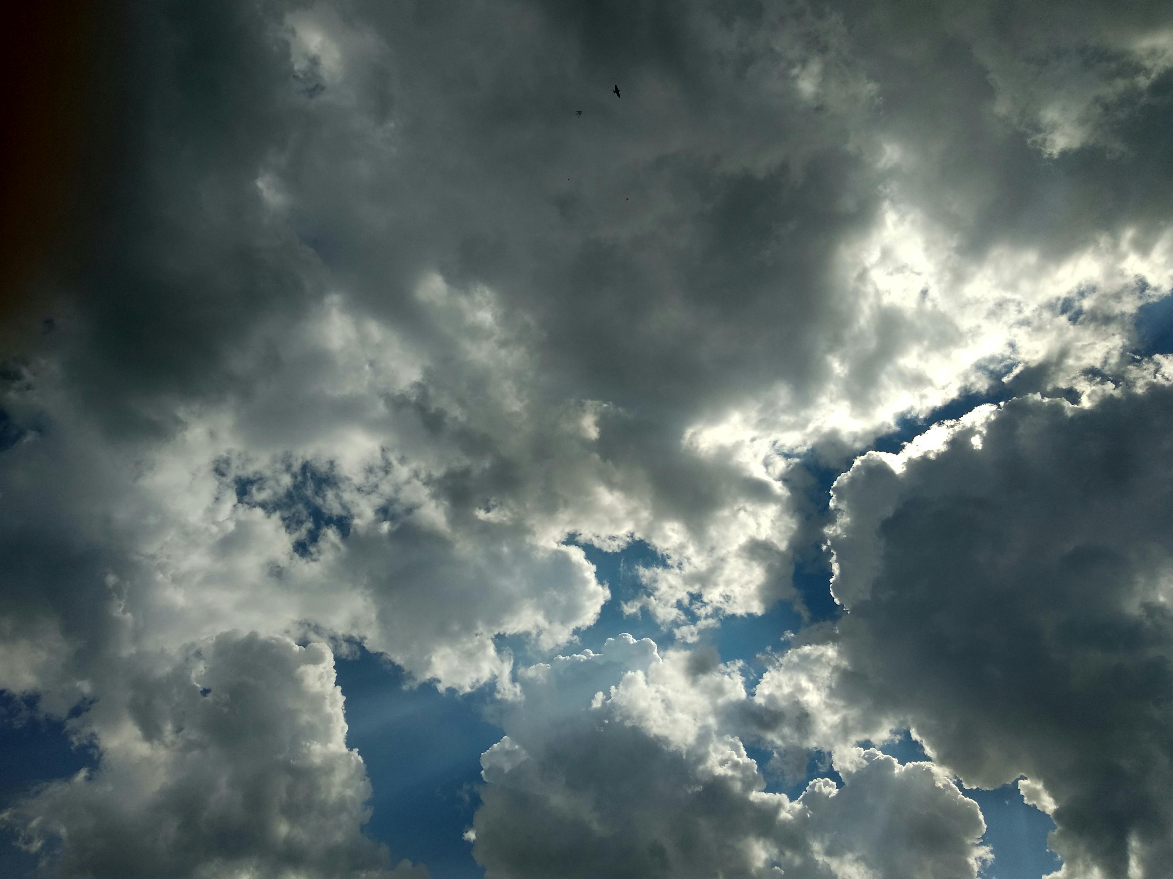 Gratuit Photos gratuites de après la pluie, ciel, Ciel sombre Photos