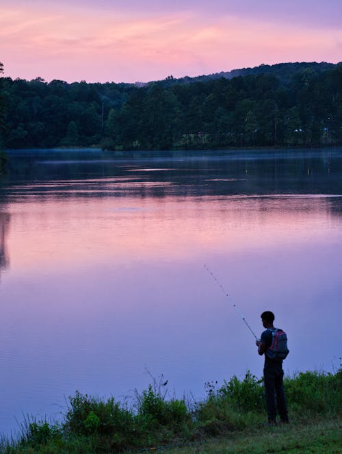 açık hava, adam, Balık tutmak içeren Ücretsiz stok fotoğraf
