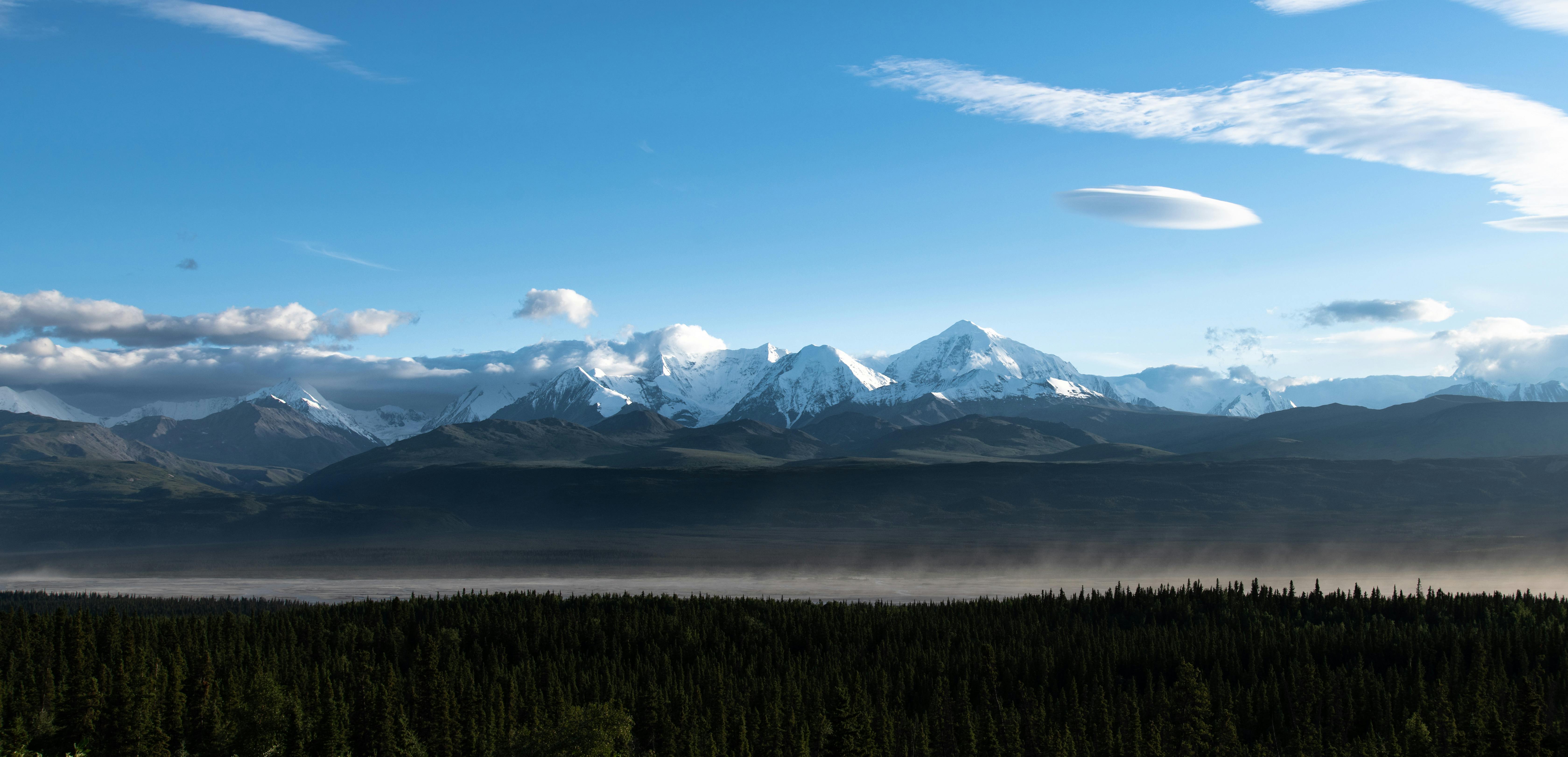 Alaska attorneys to provide free legal help on MLK Day holiday — Photo by John De Leon on Pexels