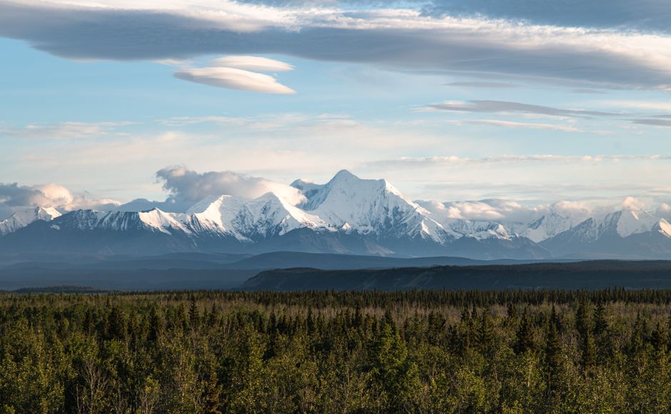 Grand View Tour - A stunning view of snow-covered mountains in Alaska with a lush green forest in the foreground.