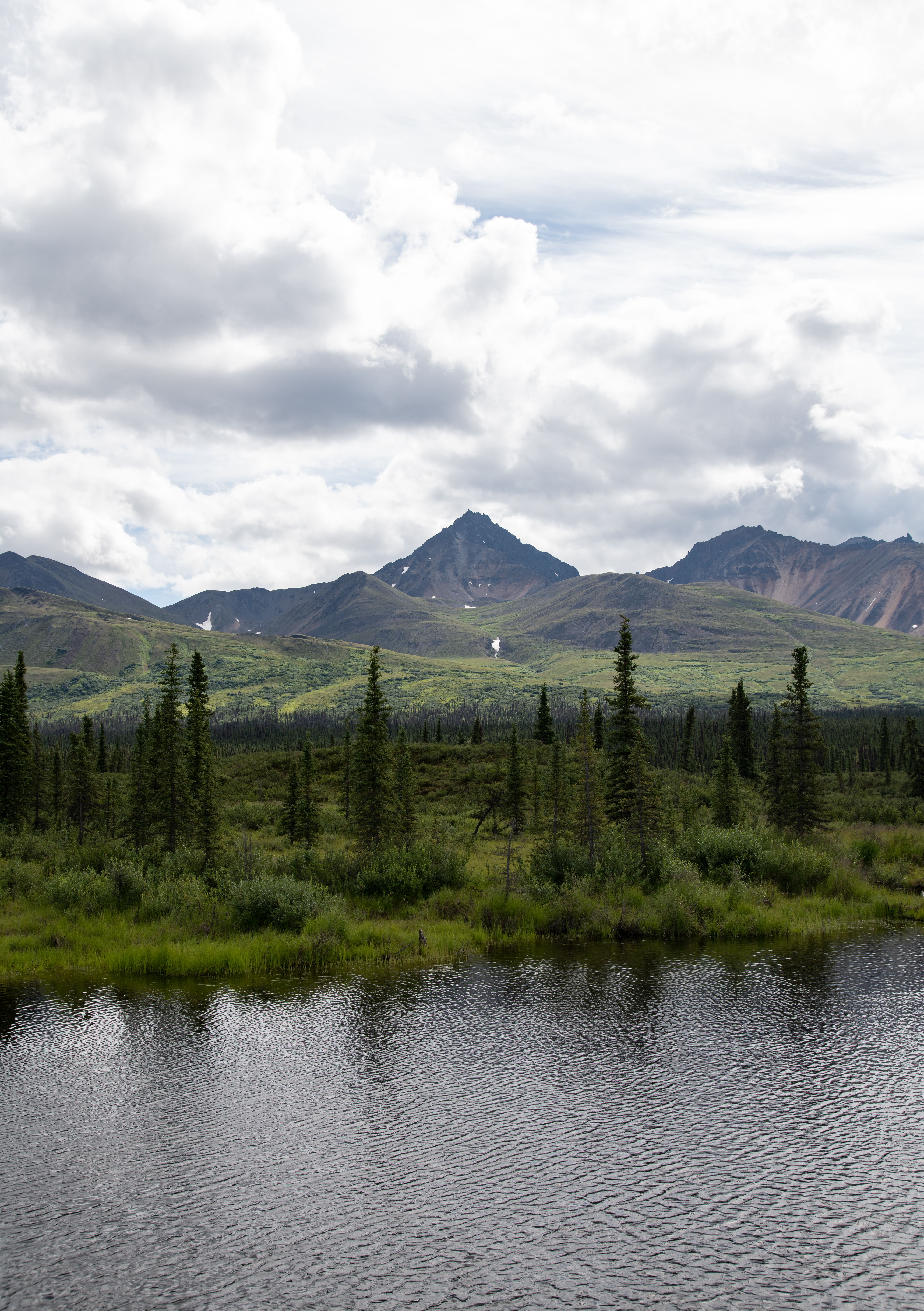 Wide view of Denali National Park tundra with mountains in the distance under a bright sky