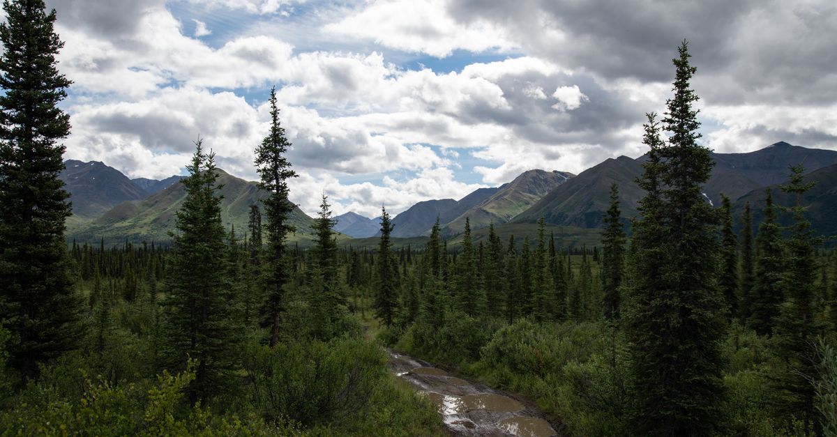 remote alaska hot spring wilderness taiga river landscape