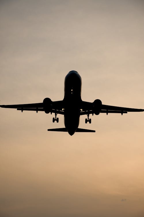 Fotos de stock gratuitas de aeronave, alas de aviones, avión