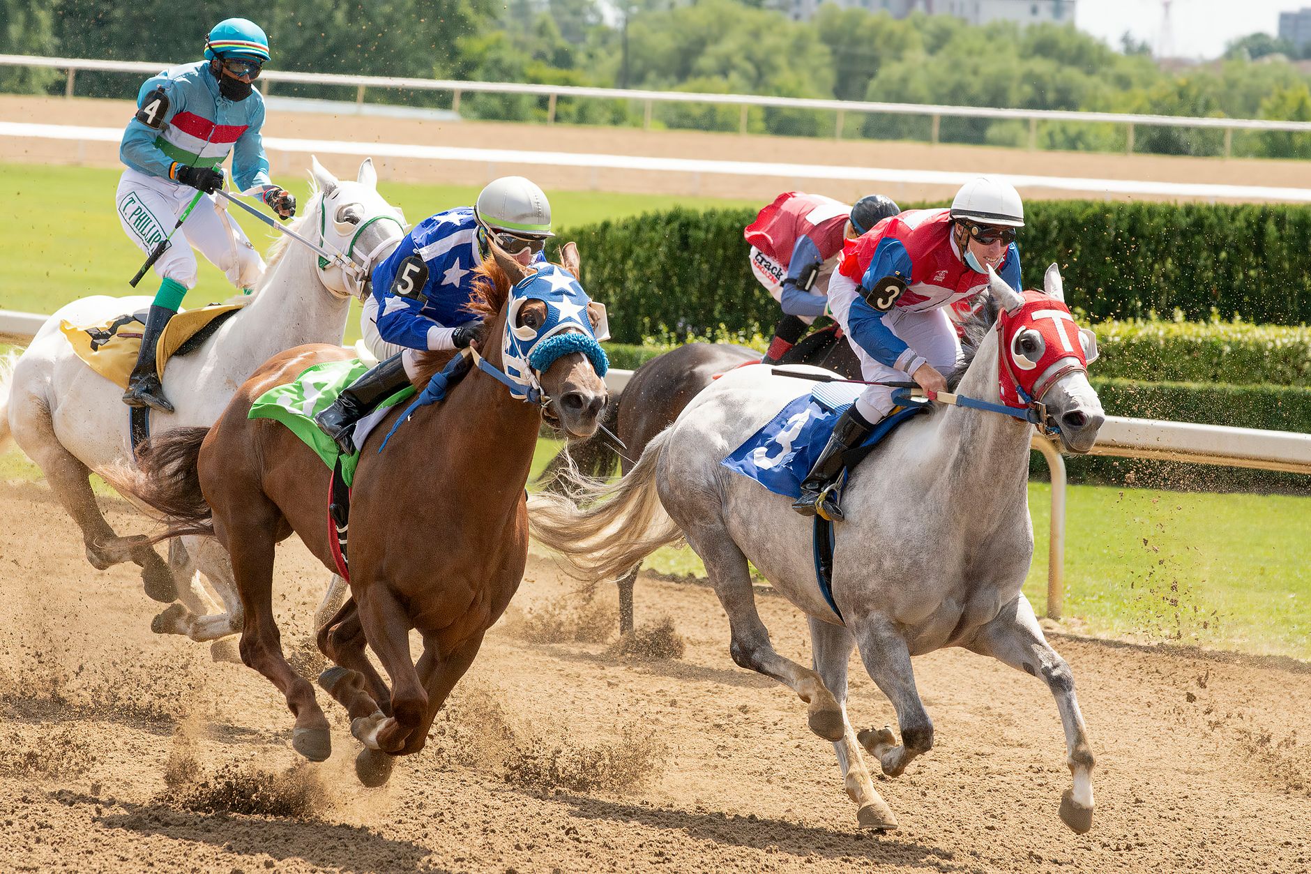 Thrilling horse race featuring jockeys competing fiercely on a sunny day.