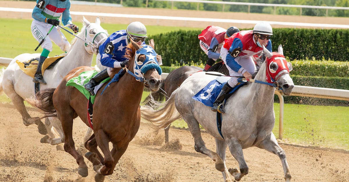 How did they make glue out of horses
