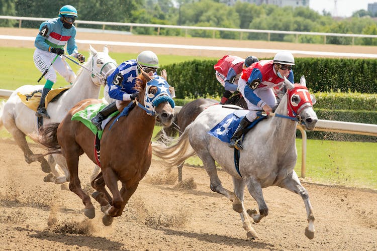 Men Riding On Horses On Race