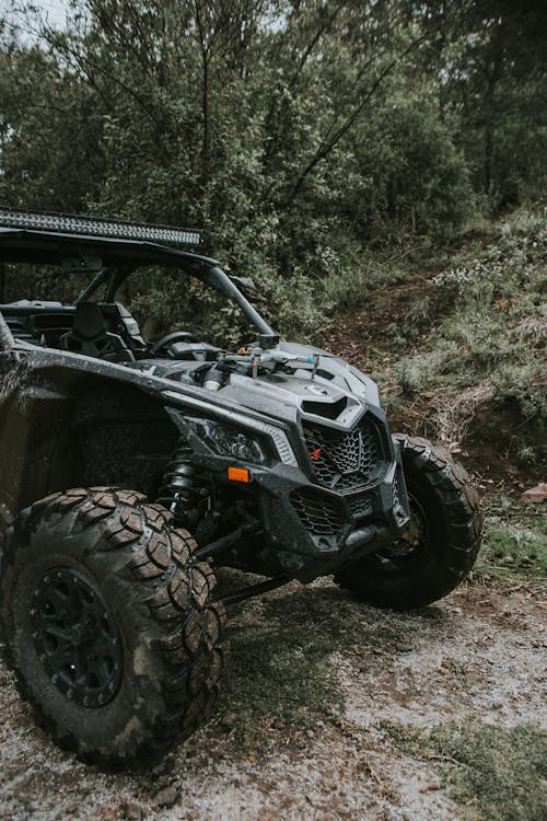 A 4x4 Truck Parked Near the Green Trees