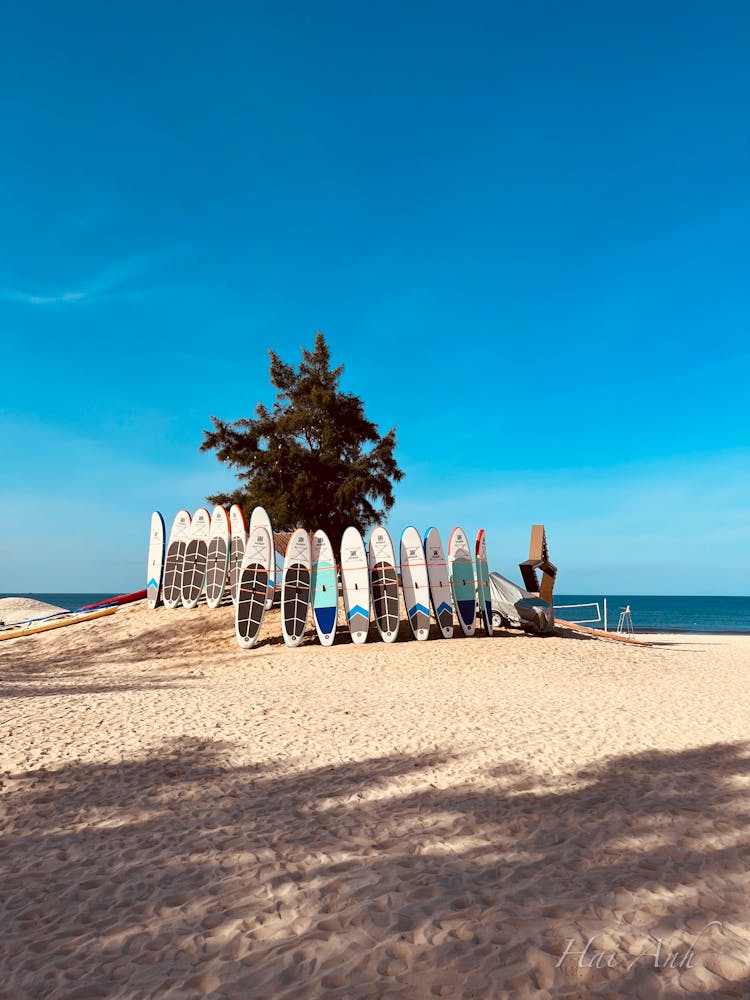 Surfboards Drying On Rack On Beach