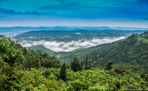 Free stock photo of clouds, dark green plants, himalayas