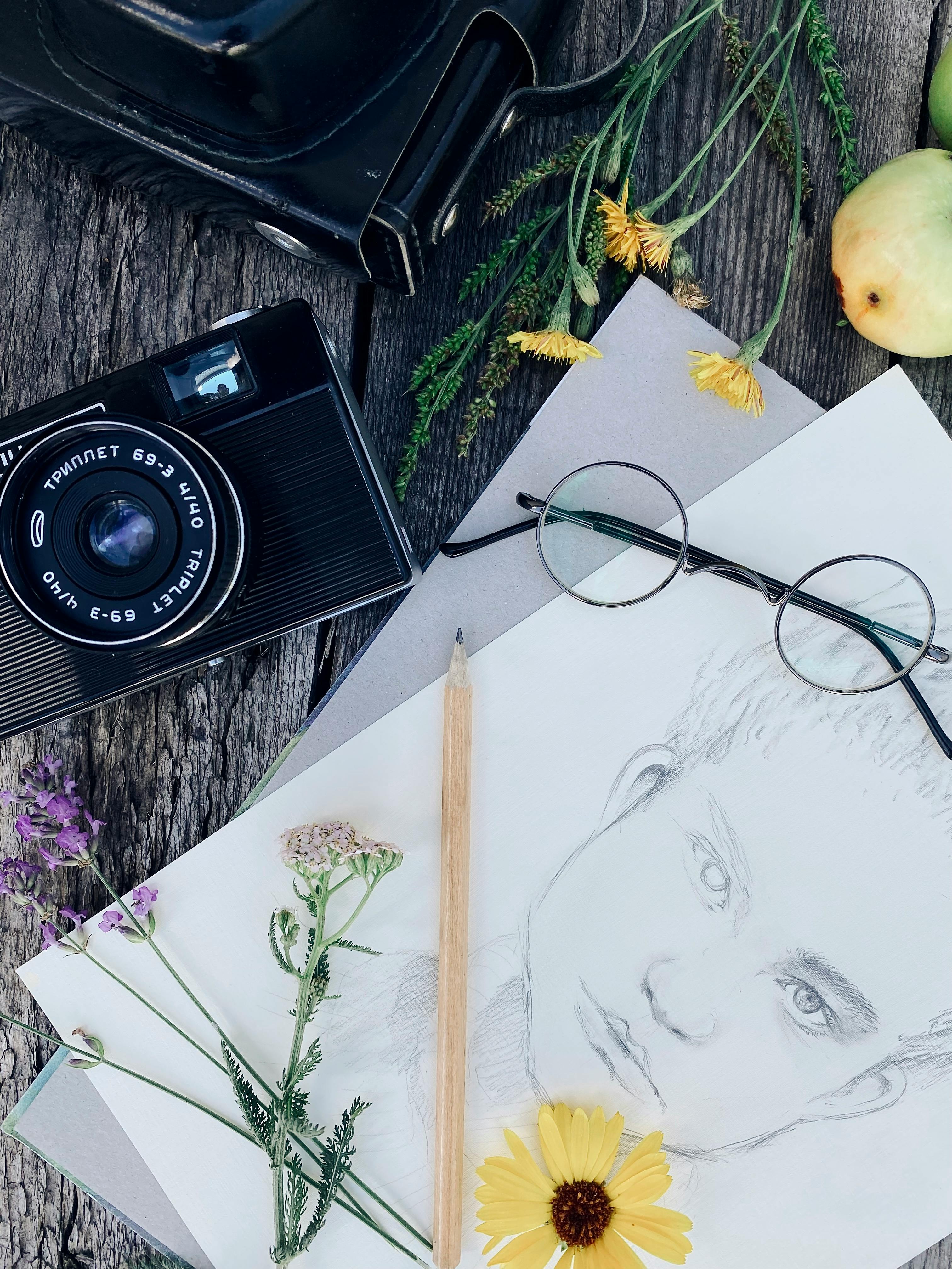 A Pencil Sketch on Paper · Free Stock Photo