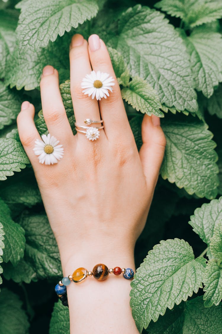 Woman Hand With Jewelry On Green Plant Background