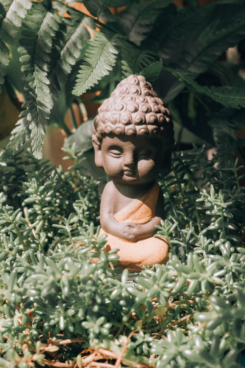 Free A peaceful Buddha statue surrounded by vibrant green plants, creating a zen atmosphere. Stock Photo