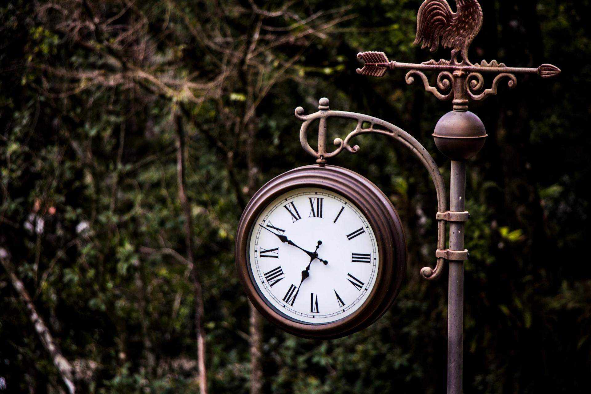 An ornate vintage street clock set against a lush forest background in Vila Suica, Brazil.