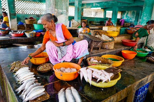 무료 물고기와 물동이 근처에 앉아있는 여자 스톡 사진