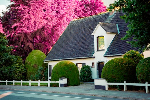 Beautiful suburban house with lush garden and striking pink trees.