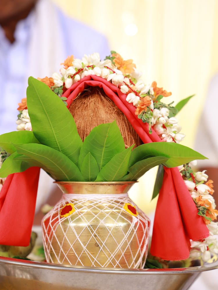 Coconut In A Decorated Vase