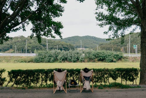 公園, 后背, 坐 的 免费素材图片