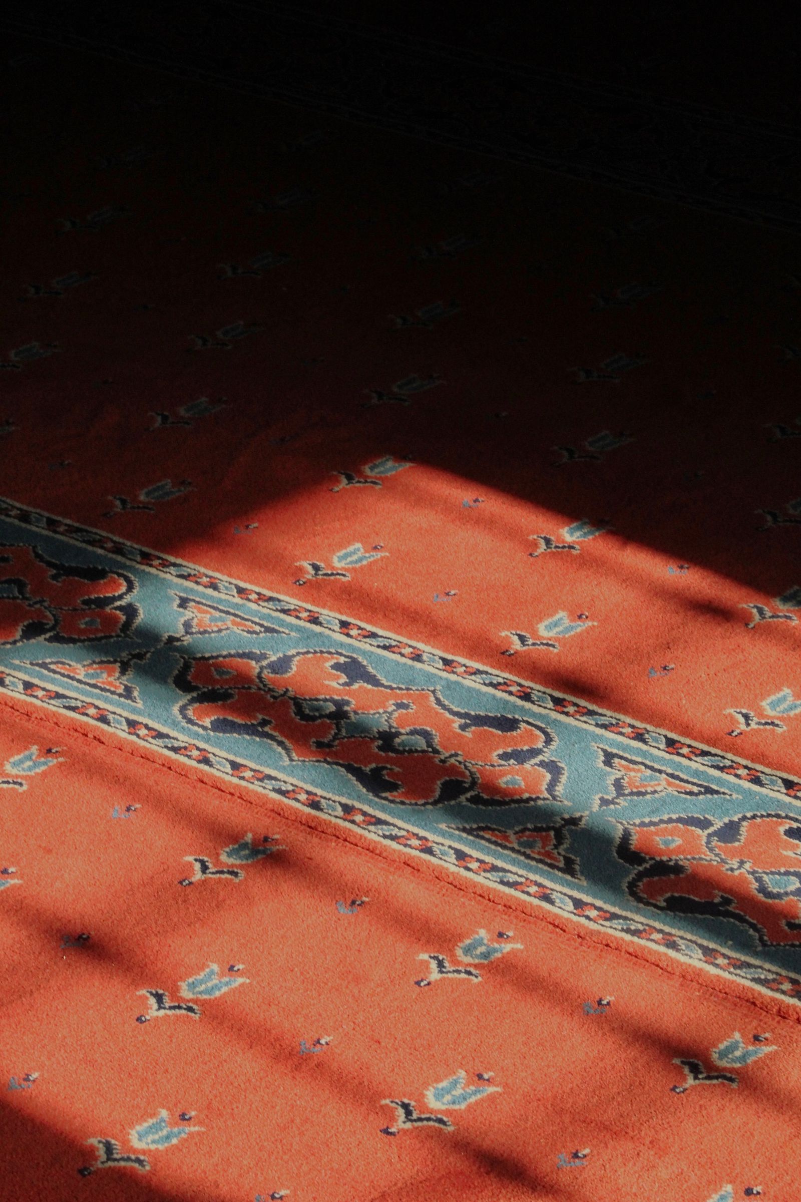 A patterned area rug with light falling across it