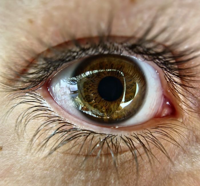 Detailed close-up of a human eye showcasing the brown iris and natural eyelashes.