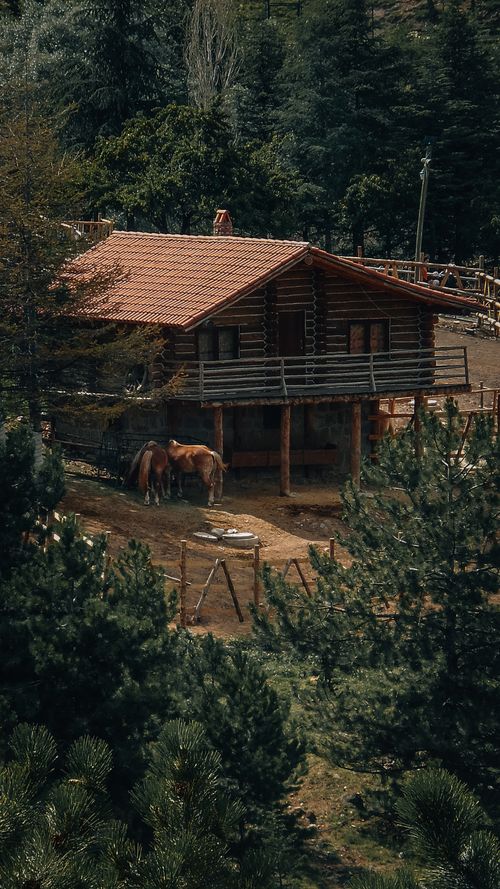 Free A serene log cabin setting with horses grazing nearby, surrounded by lush forest. Stock Photo