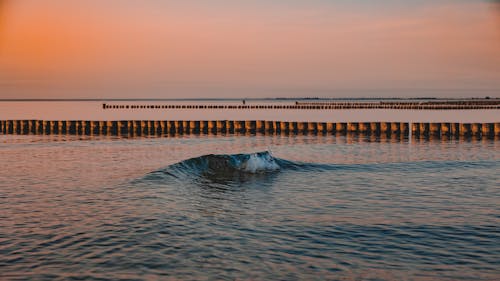 Ingyenes stockfotó aranyóra, horizont, hullám témában