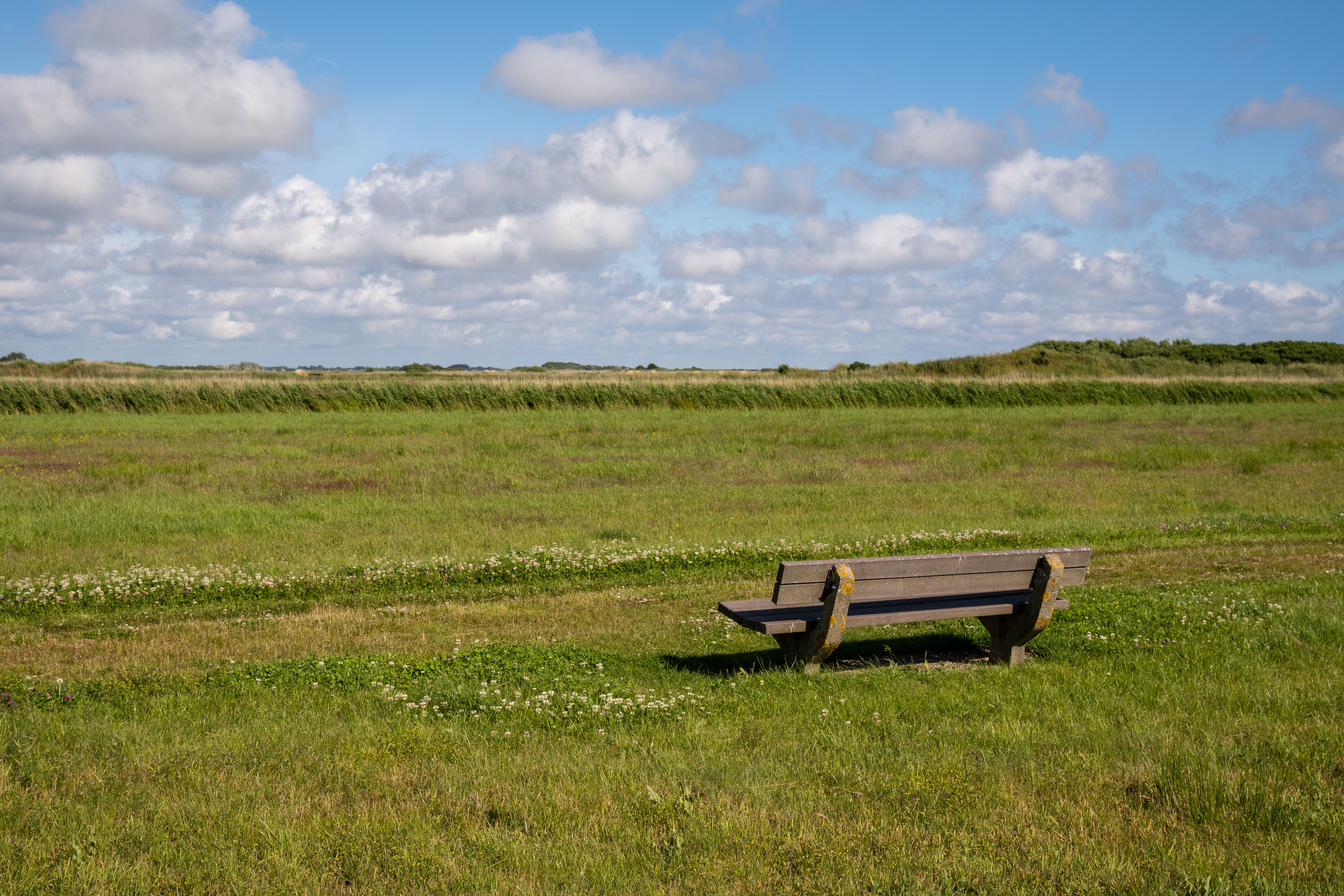 Brown Wooden Bench on Green Grass Field Under White Clouds · Free Stock ...