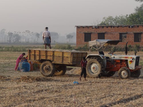 Farmers Working at Harvest