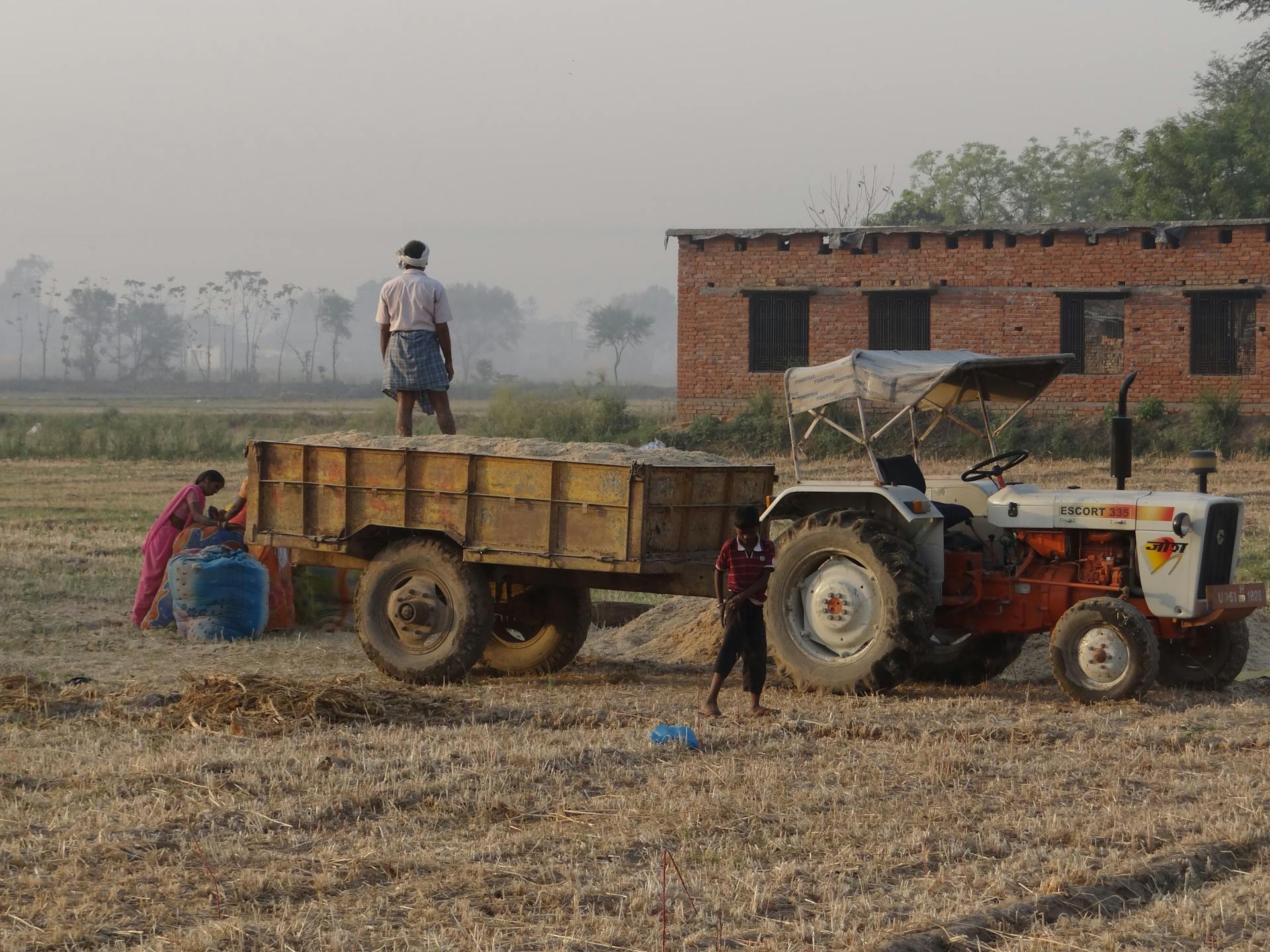 Farmers working with a tractor and trailer in a rural Indian field.
