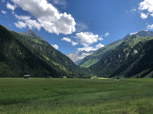 Безкоштовне стокове фото на тему «блакитне небо, гори, дерева»