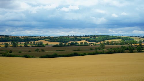 бесплатная Бесплатное стоковое фото с бедфордшир, голубое небо, деревья Стоковое фото