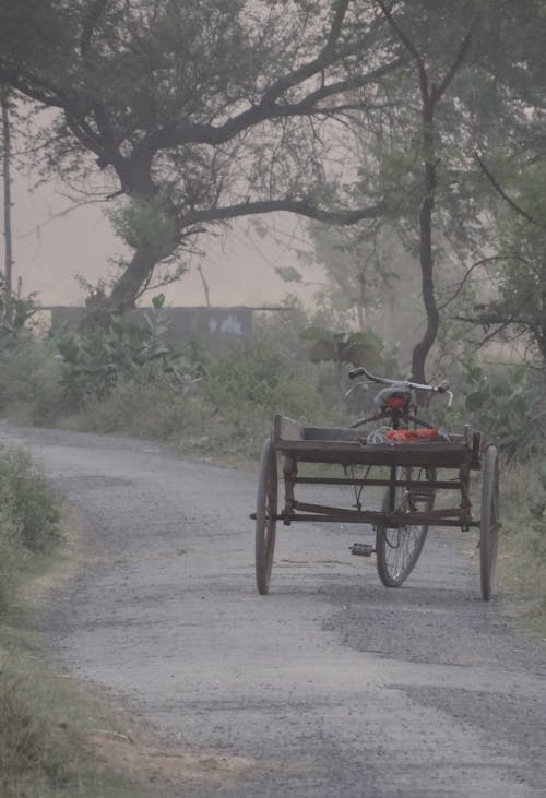 村莊, 自行車手推車, 鄉村道路 的 免費圖庫相片