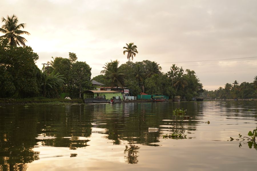 Kuttanad Region photo 4