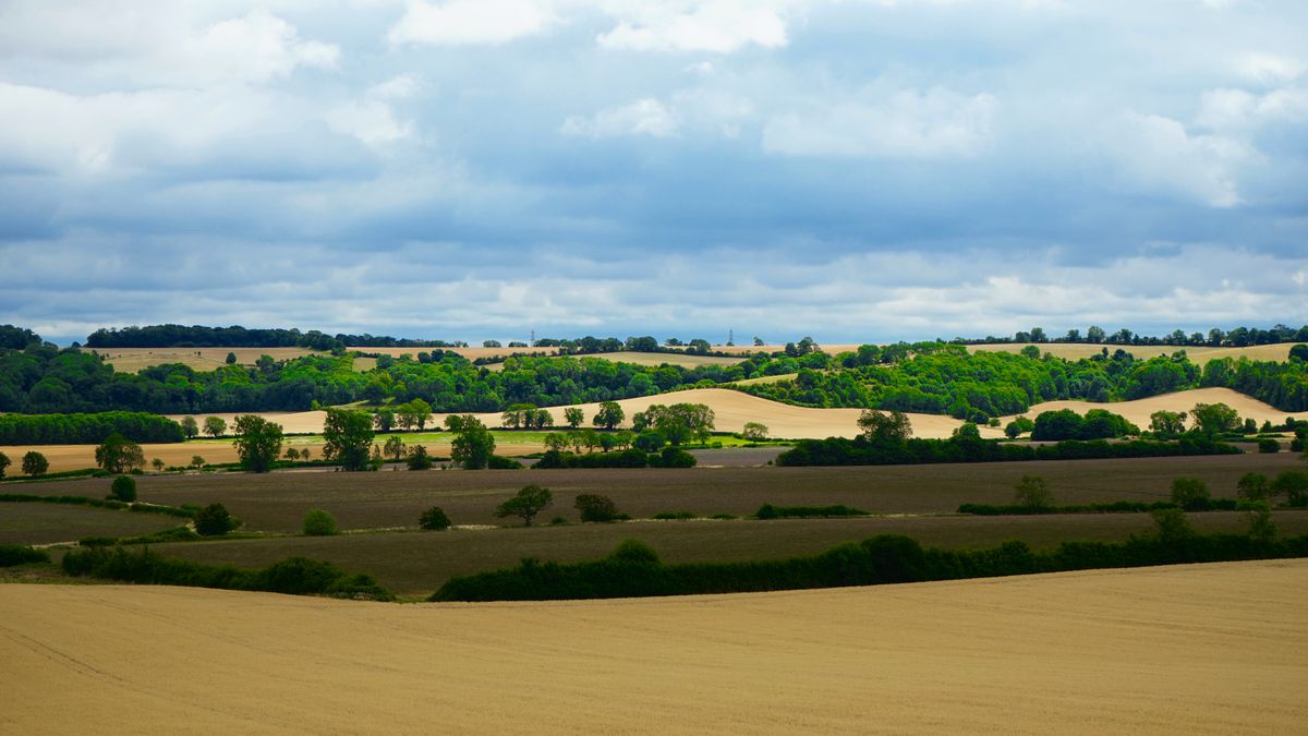 Werneth Memorial Park — landscape view 3