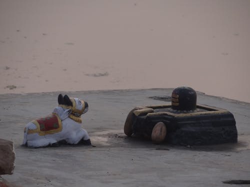 Foto profissional grátis de deus, mahadev, nandi