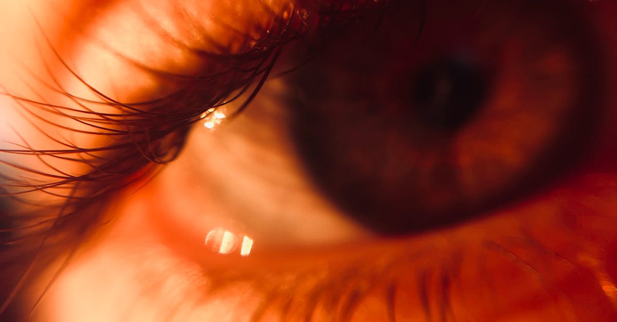 How to draw eyelashes for beginners