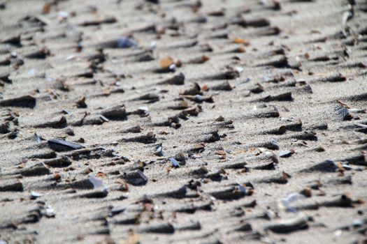 Detailed view of beach sand featuring small shells and fragments, creating a natural texture.
