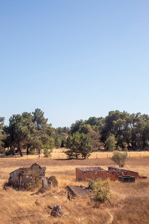 Remote Rural Dry Field Photo