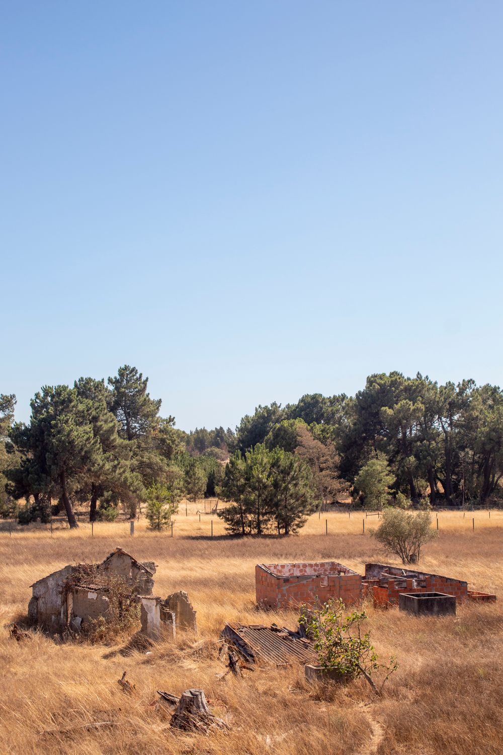 Remote Rural Dry Field Photo · Free Stock Photo